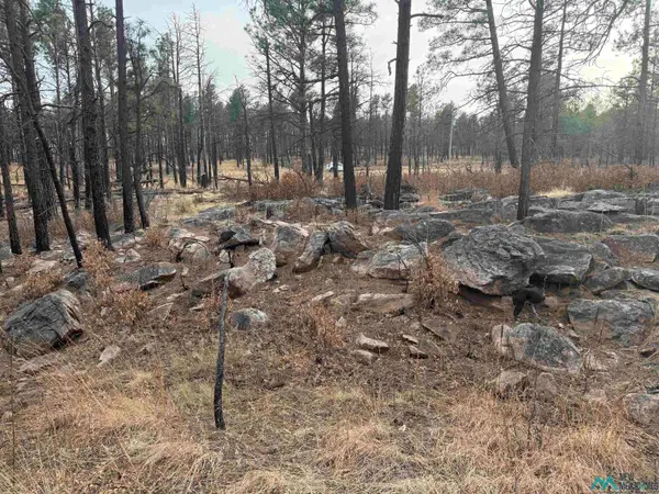 5.28 Acres Cabo Lucero Road, Las Vegas, NM 87701