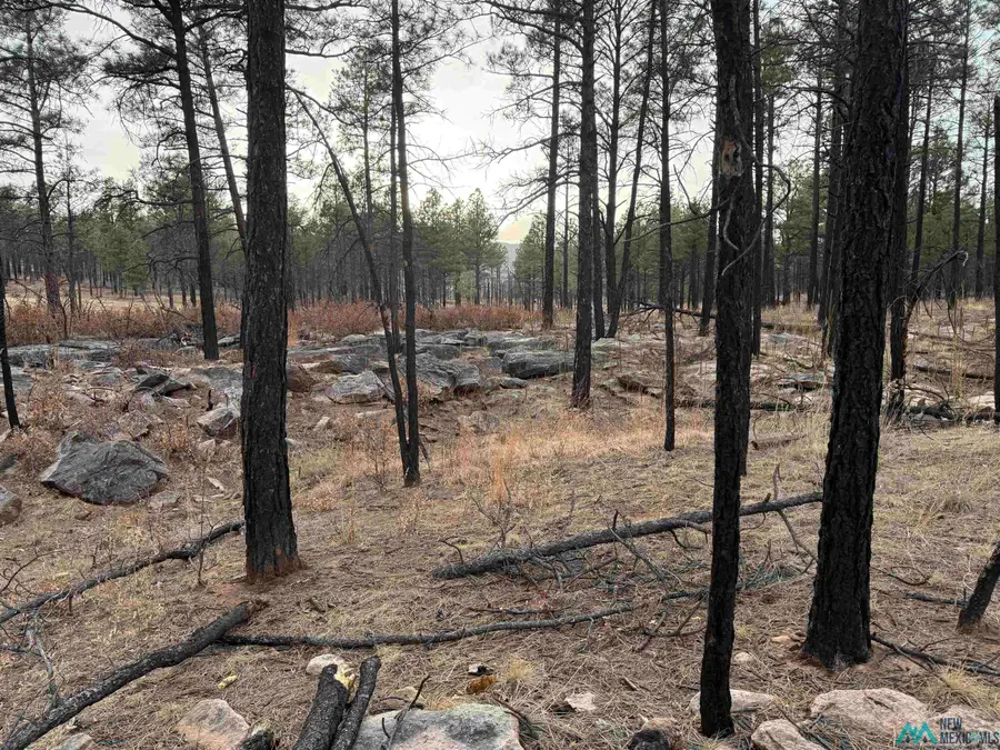 5.28 Acres Cabo Lucero Road, Las Vegas, NM 87701 - #3