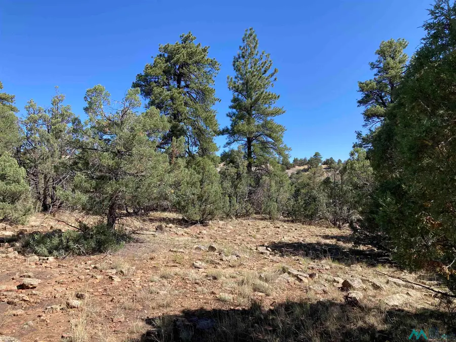 TBD Parkview Hills Lot 29, Rutheron, NM 87551 - #2