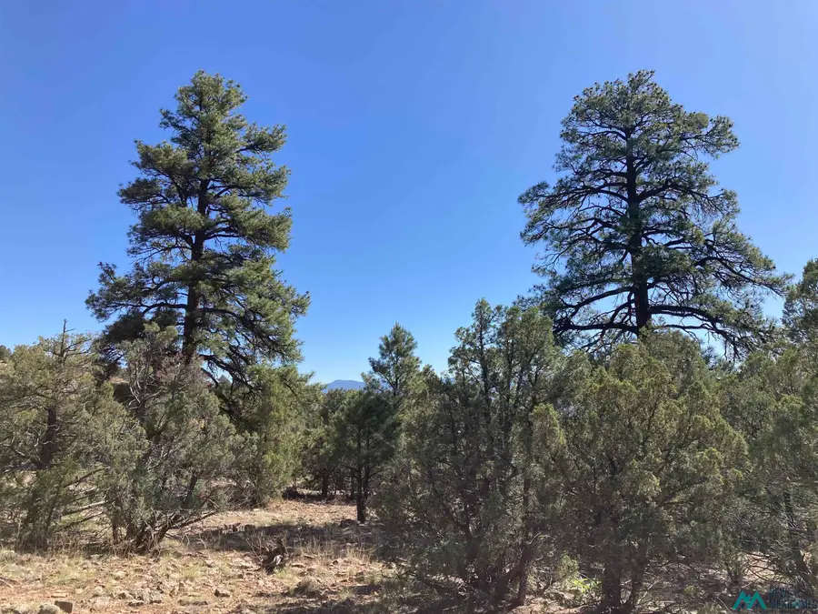 TBD Parkview Hills Lot 29, Rutheron, NM 87551 - #3