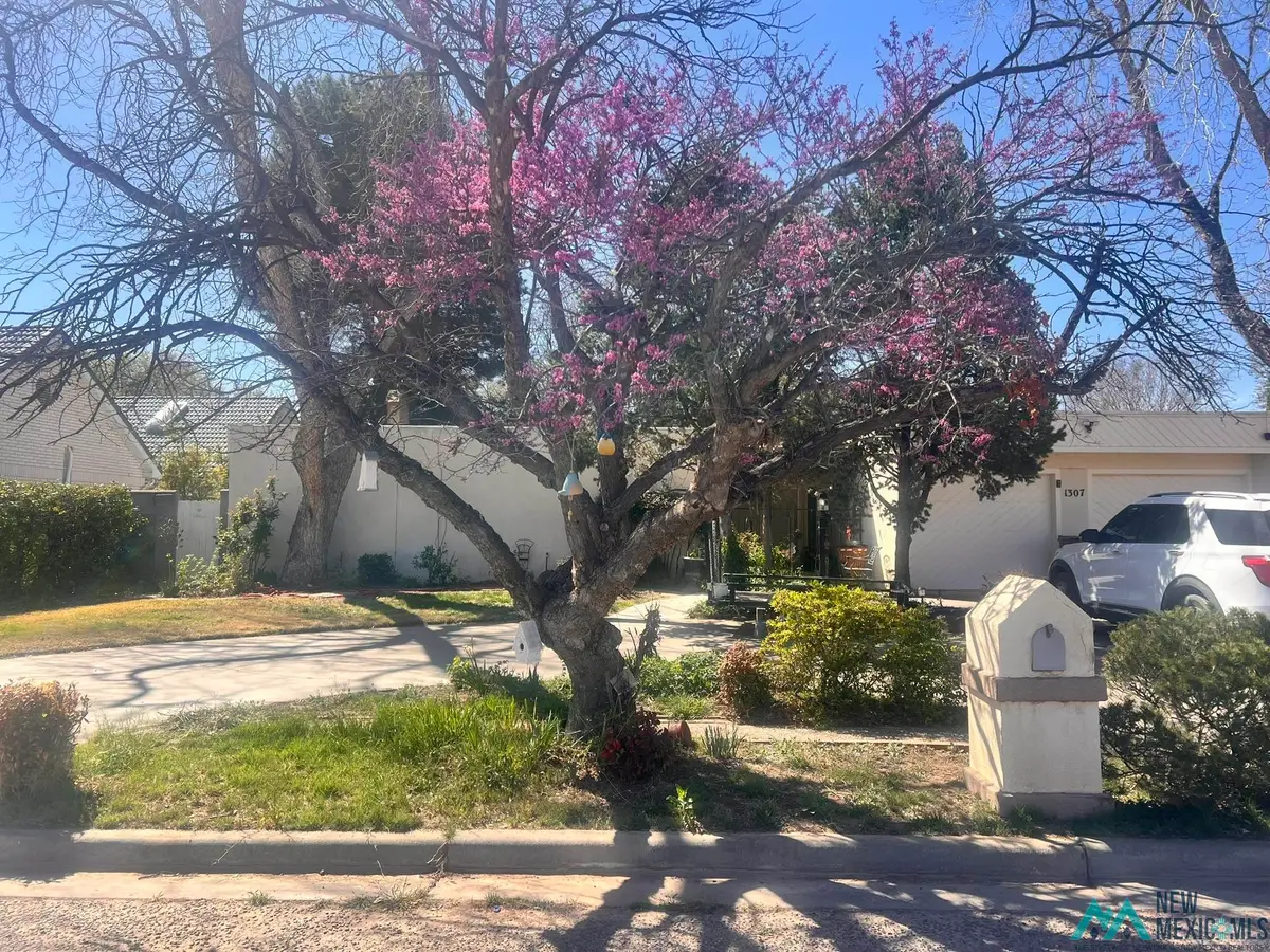 1307 Lera Circle, Carlsbad, NM 88220 - #1