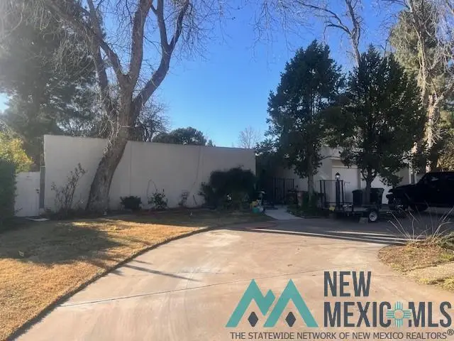 1307 Lera Circle, Carlsbad, NM 88220 - #3