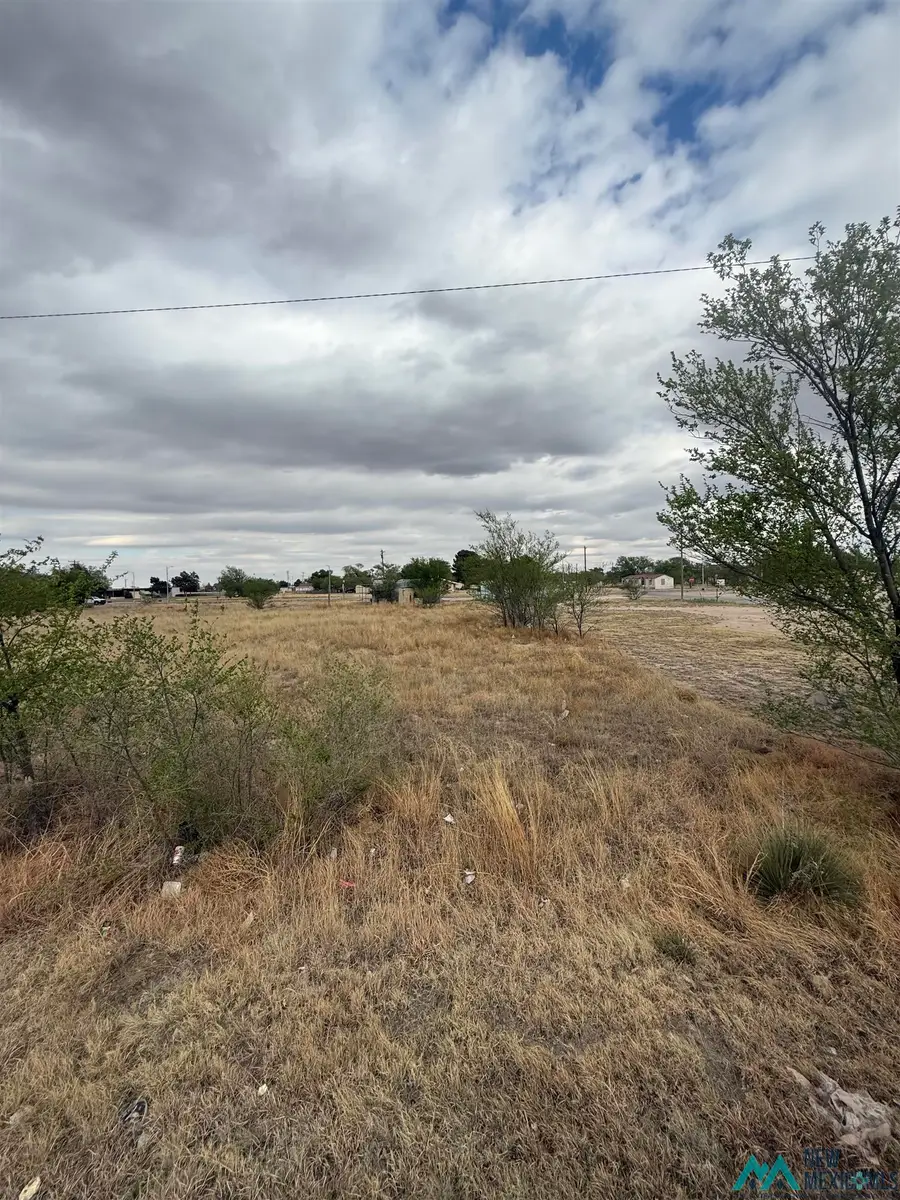 TBD Orig Tatum, Tatum, NM 88267 - #2