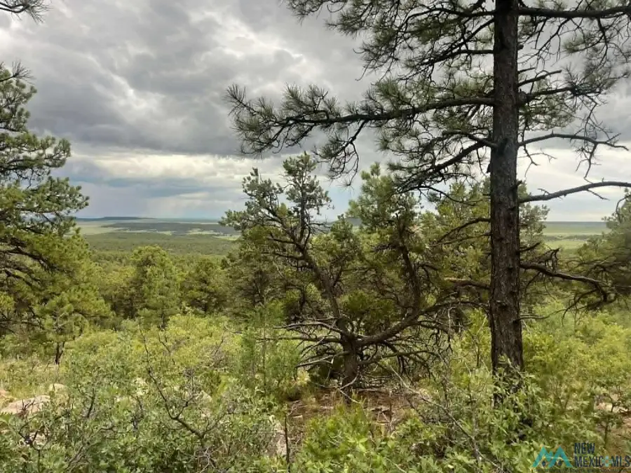Lot E La Rama Rd. Road, Golondrinas, NM 87712 - #3