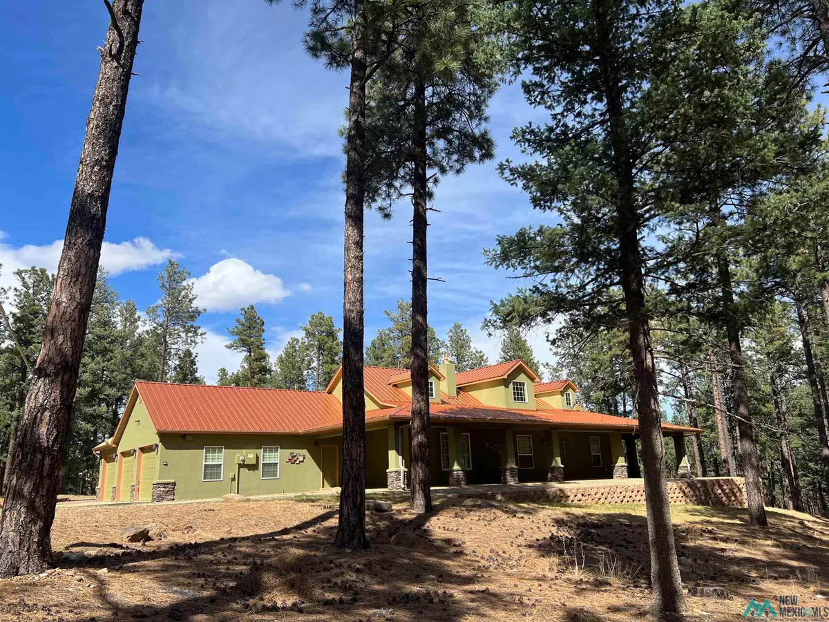 6 Calle Retiro, Rociada, NM 87742 - #1