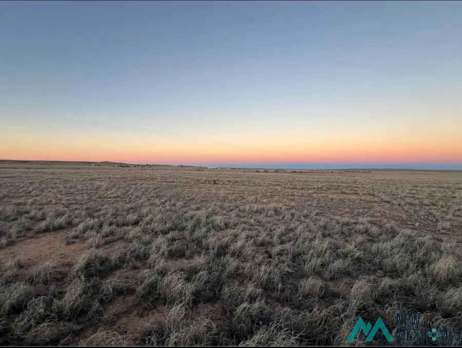 Lot 1 Lot 2 Buena Vida 2 Amend Road, Roswell, NM 88203 - #3