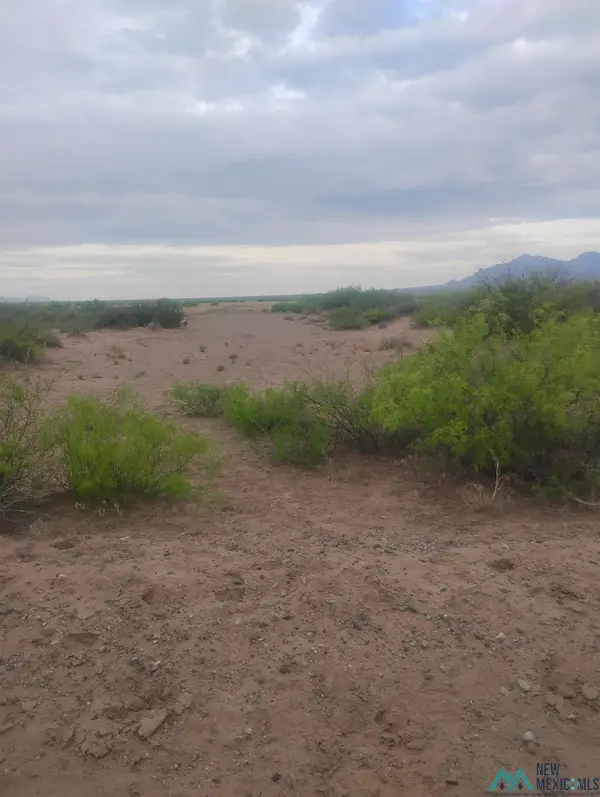 XXXX Indiana Rd Se, Deming, NM 88030