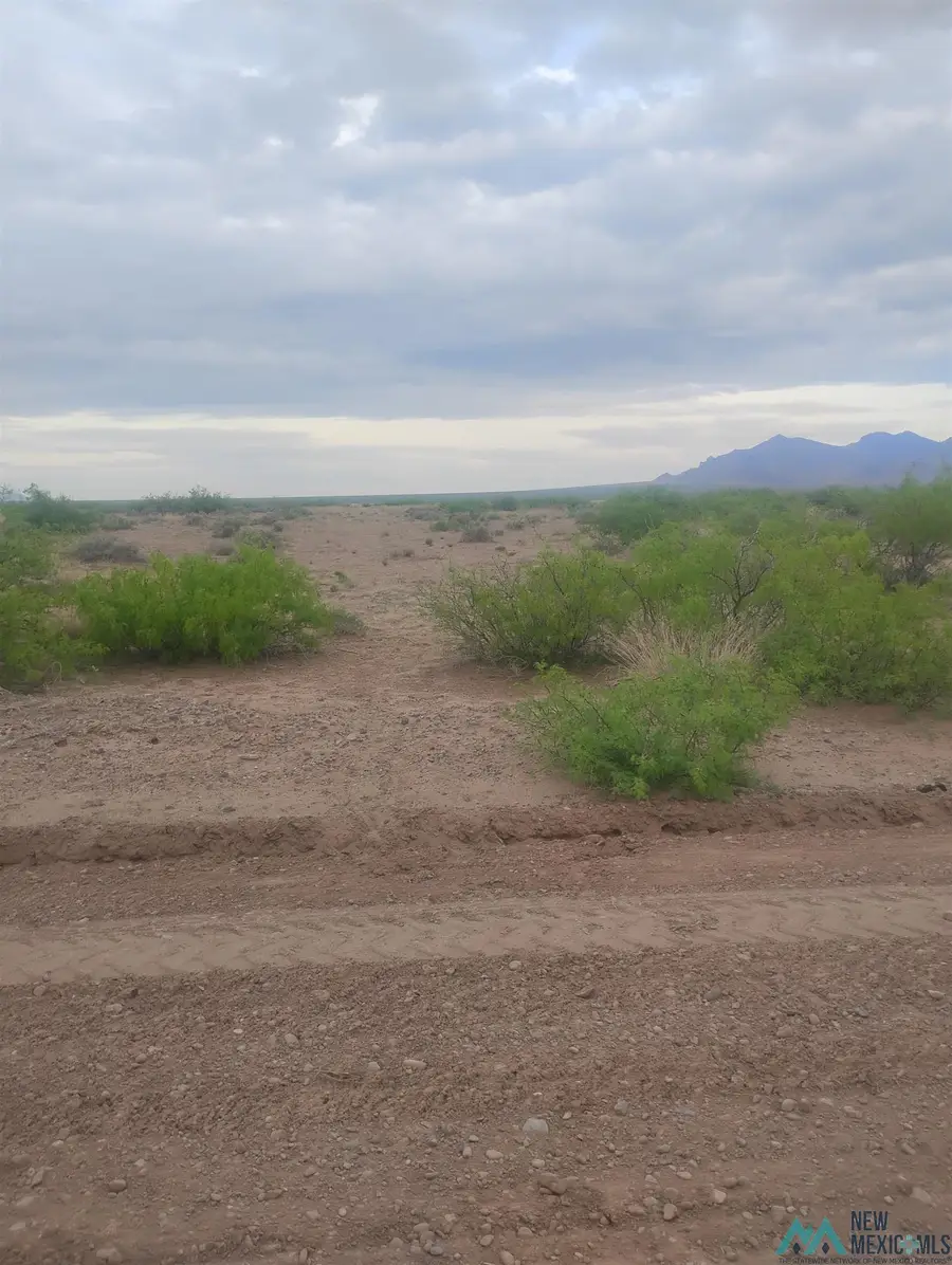 XXXX Indiana Rd Se, Deming, NM 88030 - #3