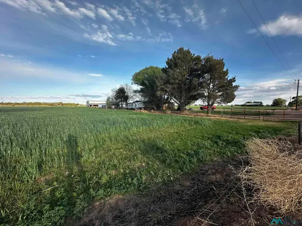 2070 Real Wind Drive Drive, Fort Sumner, NM 88119