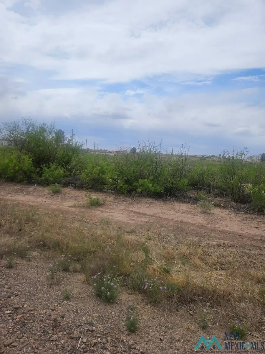 XXXX Columbus Hwy, Deming, NM 88030 - #2