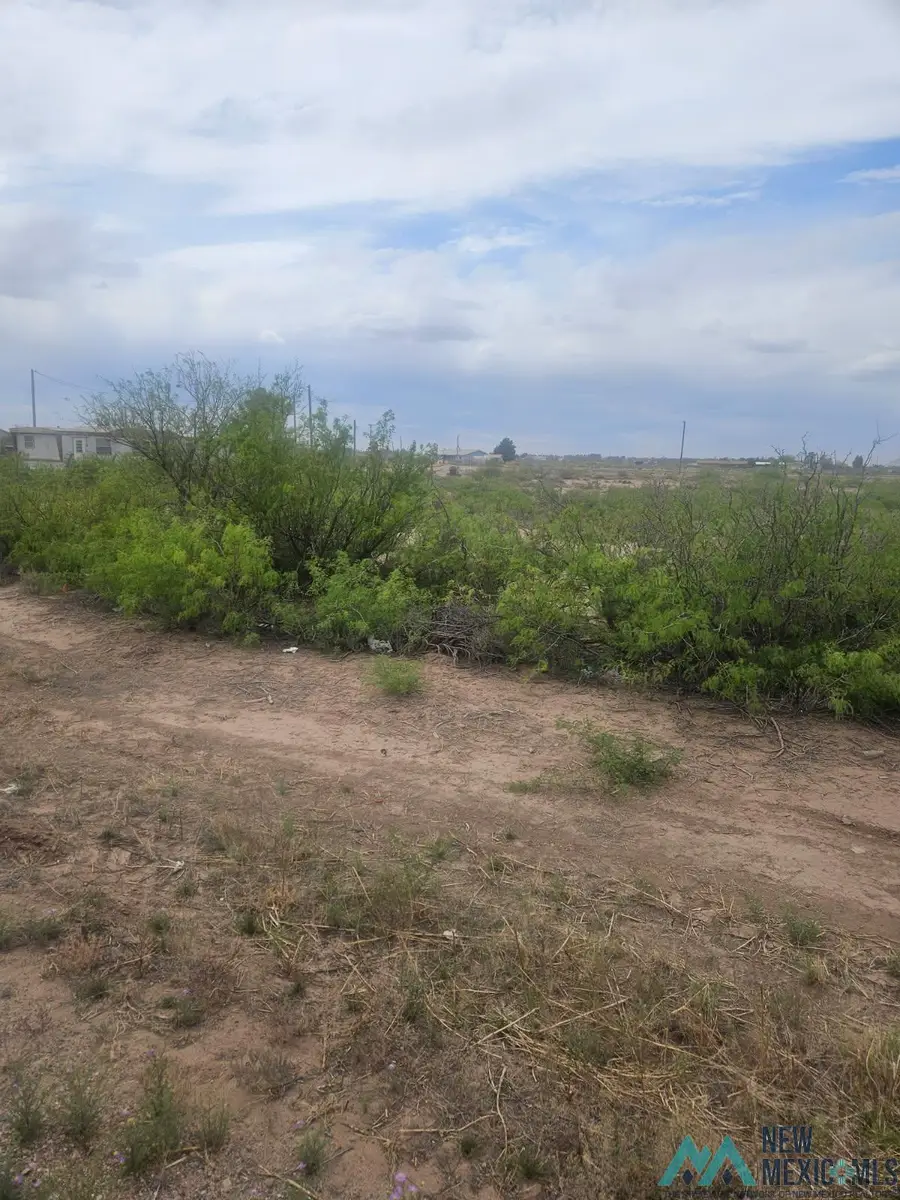 XXXX Columbus Hwy, Deming, NM 88030 - #3