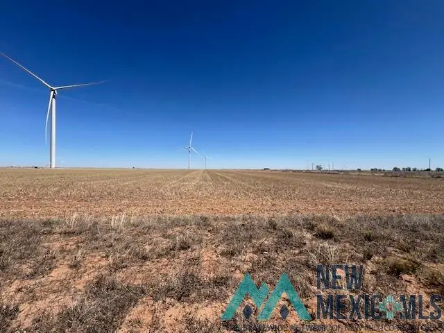 Address Withheld By Seller, Causey, NM 88113 - #2