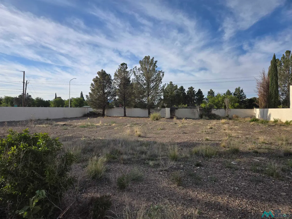 000 Gila Court, Deming, NM 88030 - #1