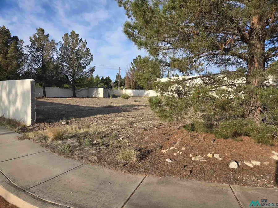 000 Gila Court, Deming, NM 88030 - #2