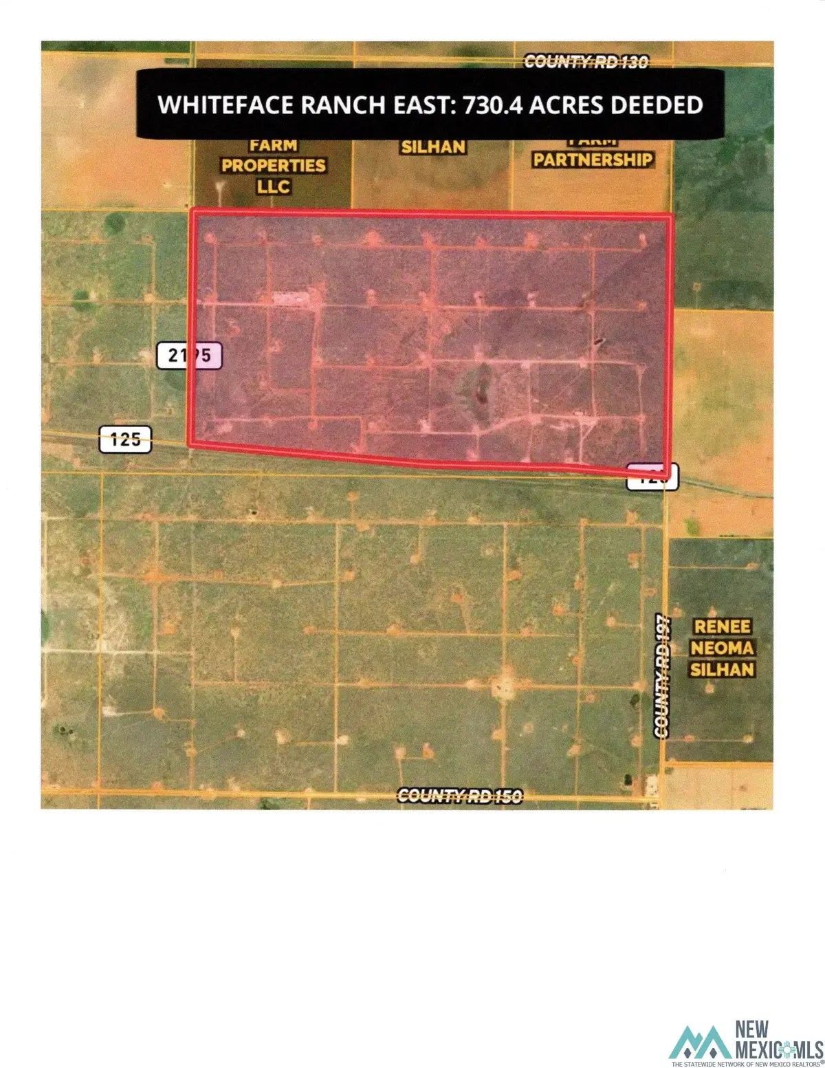 E County Road 197 Road, Whiteface, TX 79379 - #1