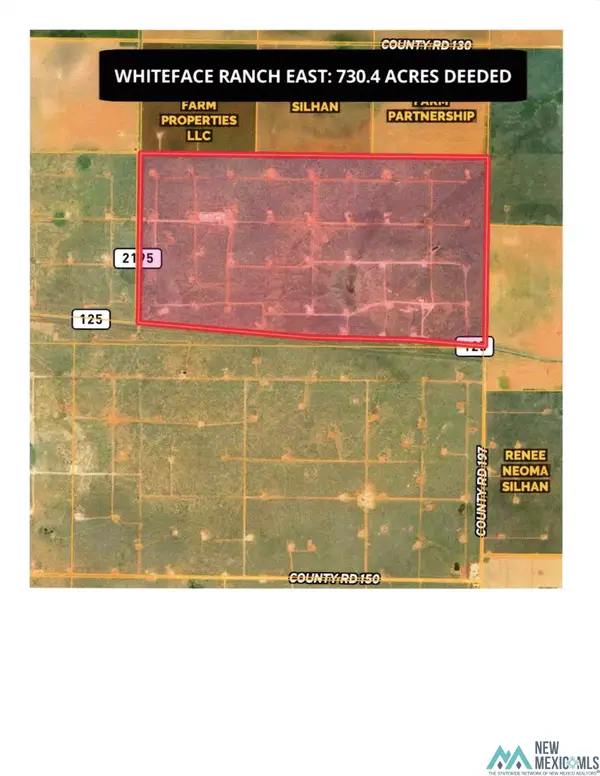 E County Road 197 Road, Whiteface, TX 79379
