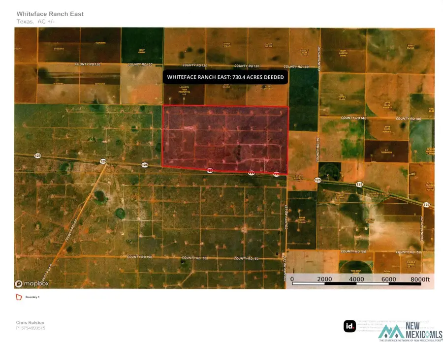 E County Road 197 Road, Whiteface, TX 79379 - #2