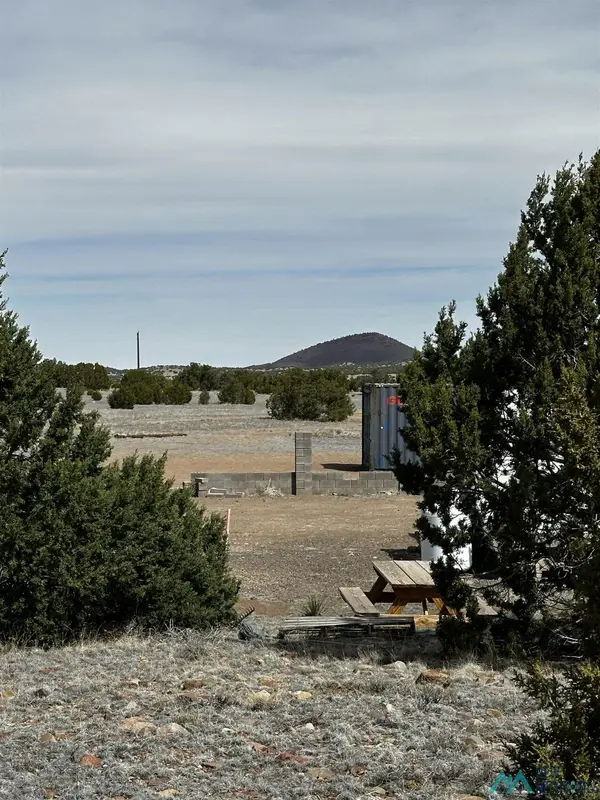 471 Cimarron Drive, Quemado, NM 87829