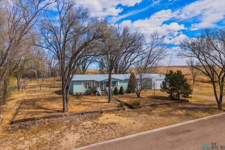 505 14th Street, Springer, NM 87747 - #2