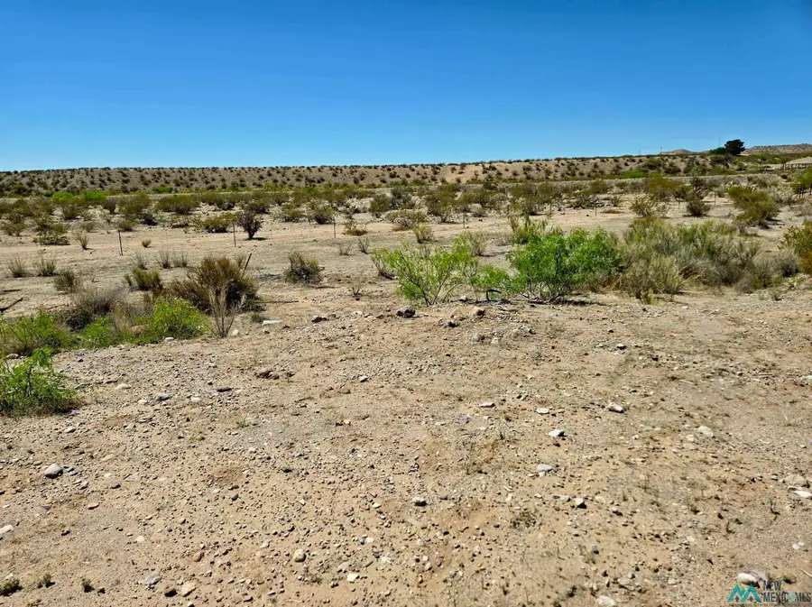 17 Seco Road, Caballo, NM 87931 - #3
