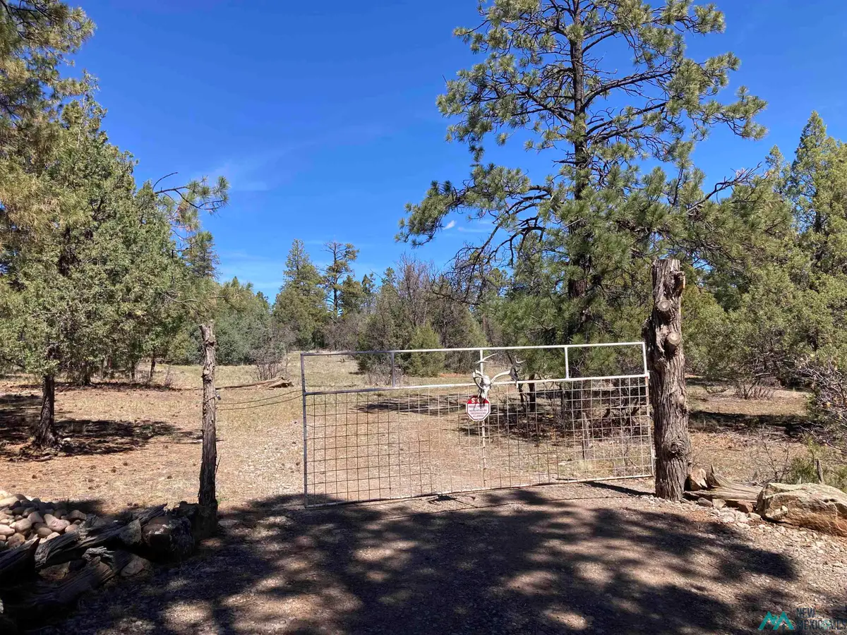 TBD Doe Rim Drive, Rutheron, NM 87551 - #1