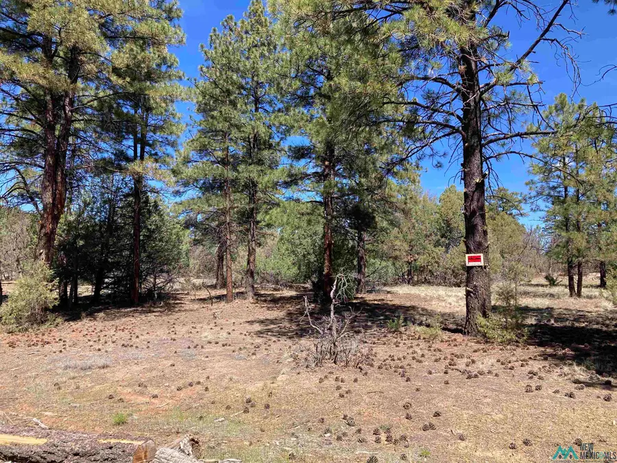 TBD Doe Rim Drive, Rutheron, NM 87551 - #2