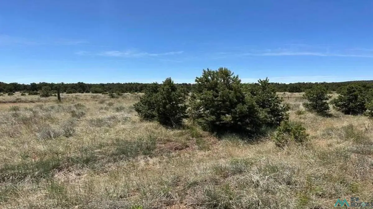 55 Elk Trail, Pie Town, NM 5 - #1