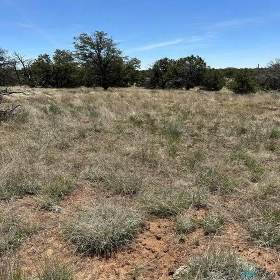 55 Elk Trail, Pie Town, NM 5 - #2