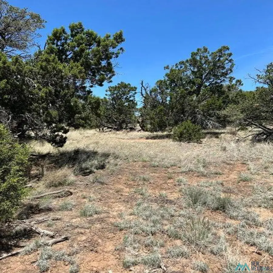55 Elk Trail, Pie Town, NM 5 - #3