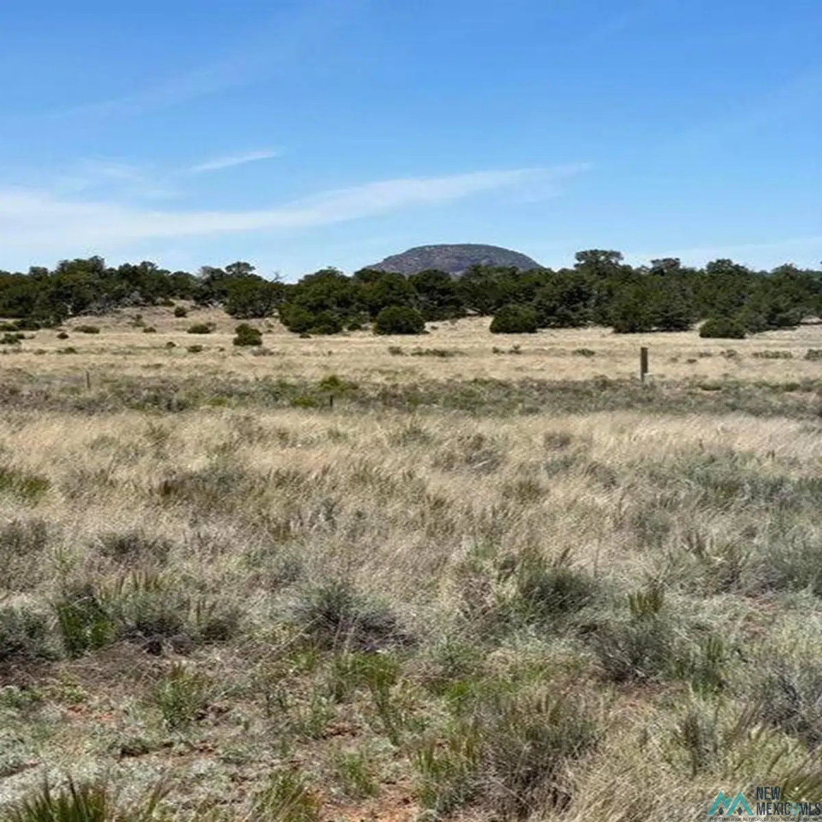 Xx Blue Hills Trail, Pie Town, NM 5 - #1