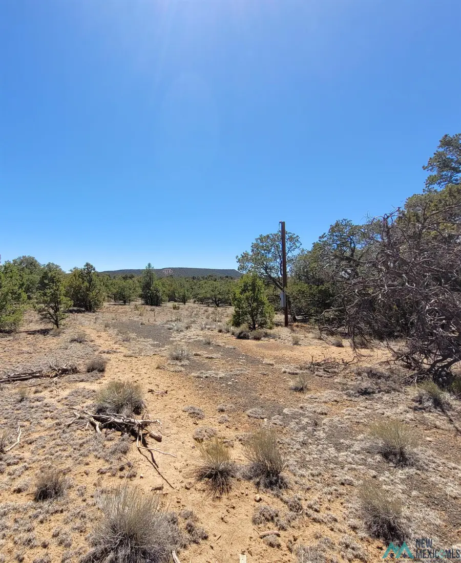 2 Rabbit Circle, Pie Town, NM 5 - #2
