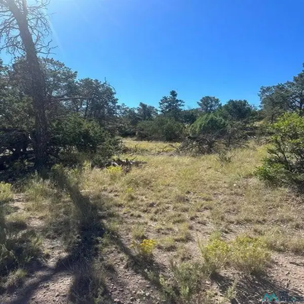 Xx Lookout Circle, Datil, NM 5