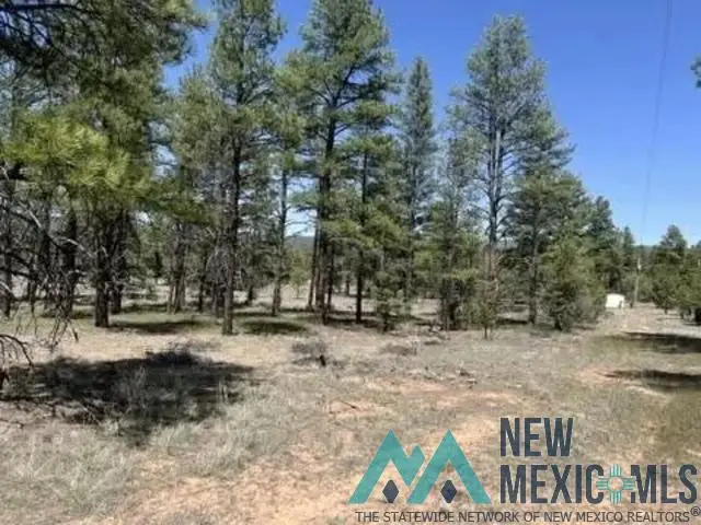 807 Timberlake Road, Ramah, NM 87321 - #2