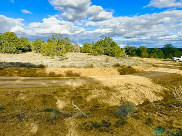98 Great White Father Road, Ramah, NM 87321
