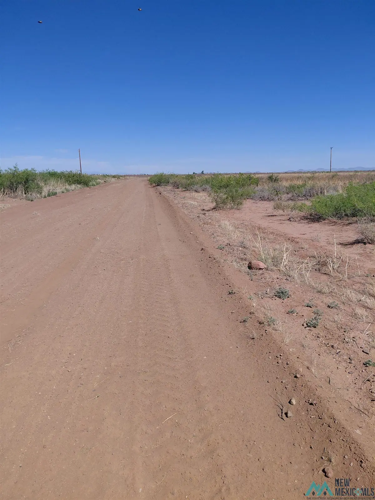 XX105 Joshua Road, Deming, NM 88030 - #1