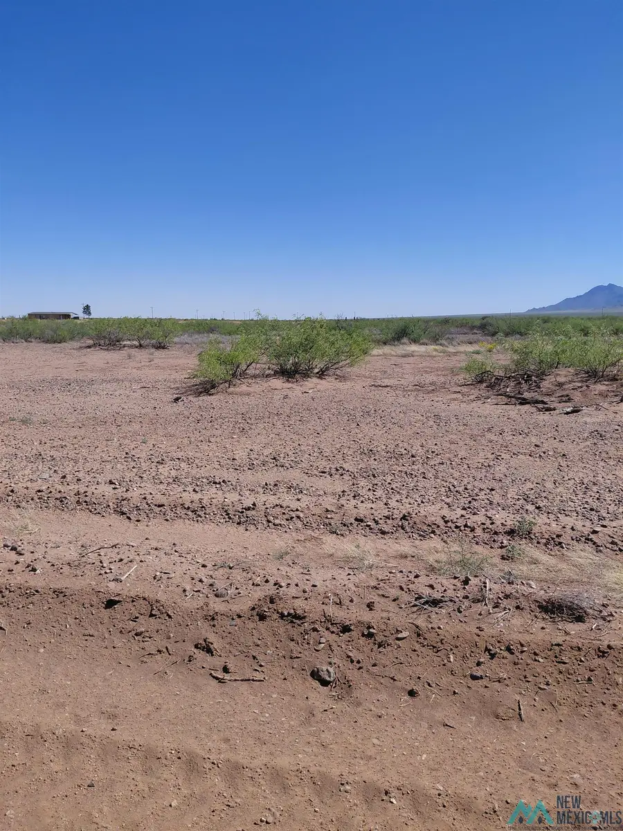 XX105 Joshua Road, Deming, NM 88030 - #3