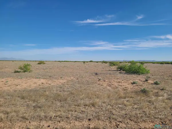 XXXX Pampas Rd. Se Road, Deming, NM 88030
