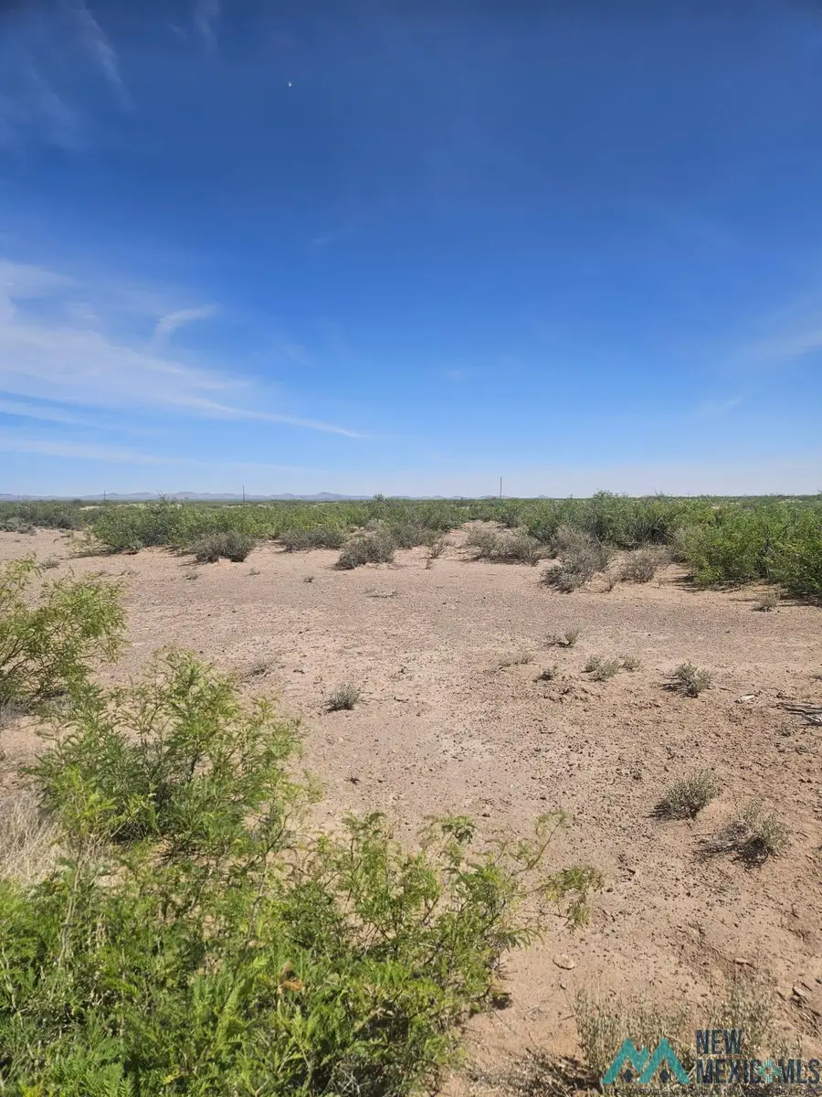 XXX SE Calandra, Deming, NM 88030 - #2