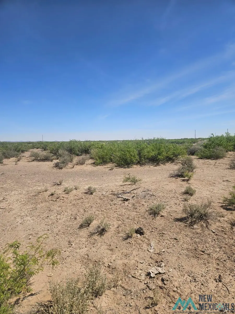 XXX SE Calandra, Deming, NM 88030 - #3