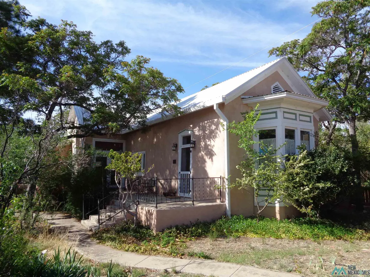 10667 Highway 152 Highway, Hillsboro, NM 88042 - #1