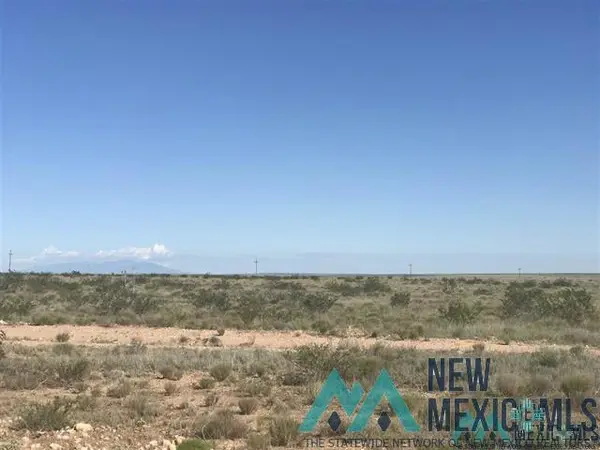 00 Buffalo Valley Road, Hagerman, NM 88232
