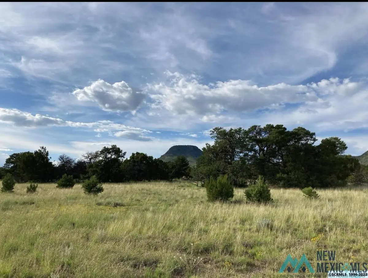 25 Coyote Trail, Datil, NM 87821 - #1