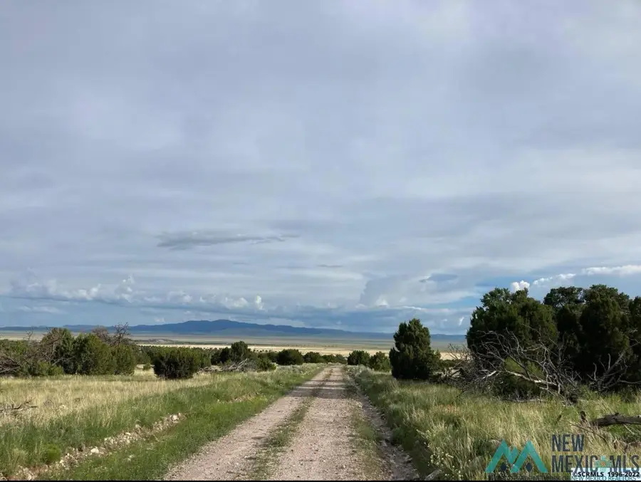 25 Coyote Trail, Datil, NM 87821 - #3