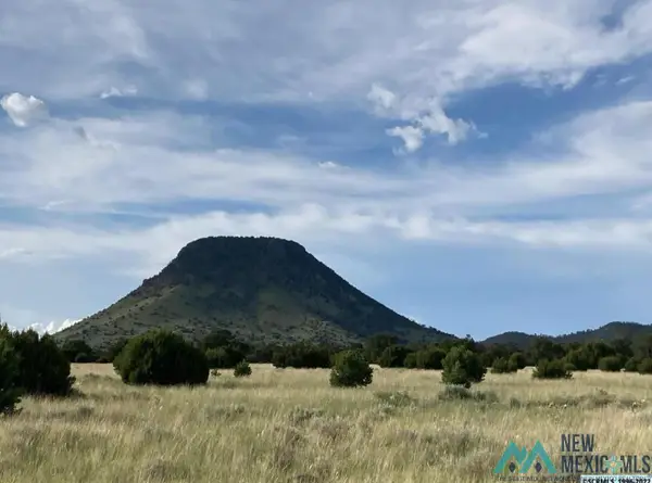 19 Coyote Trail, Datil, NM 87821