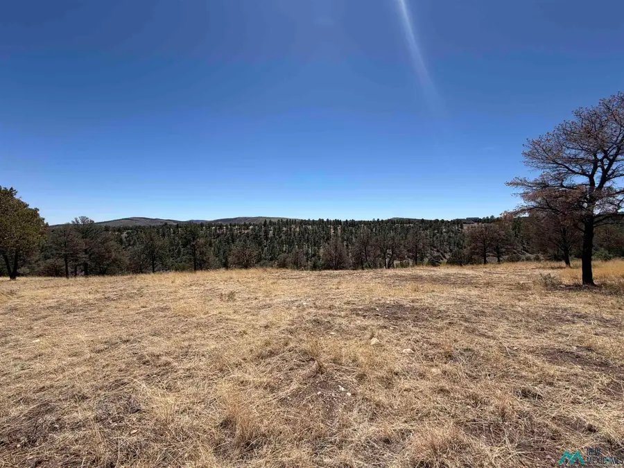 136 Bobby Jones Court, Alto, NM 88312 - #2