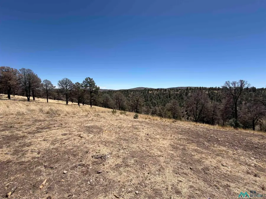136 Bobby Jones Court, Alto, NM 88312 - #3