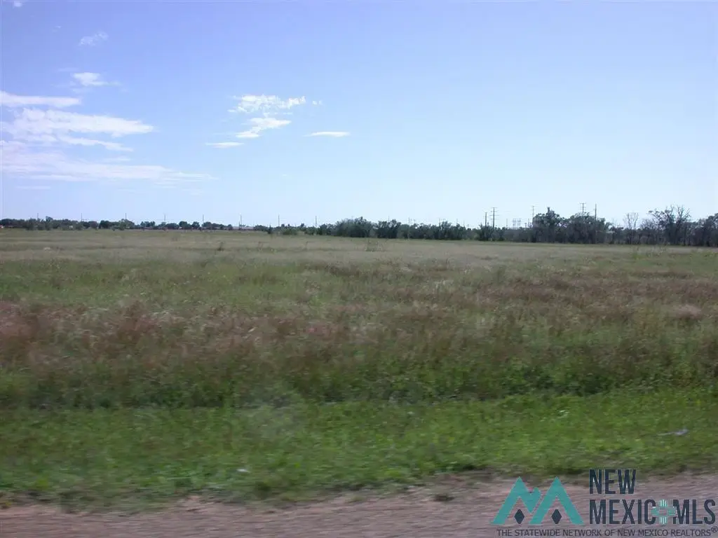 4501 W 21st Street, Clovis, NM 88101 - #1
