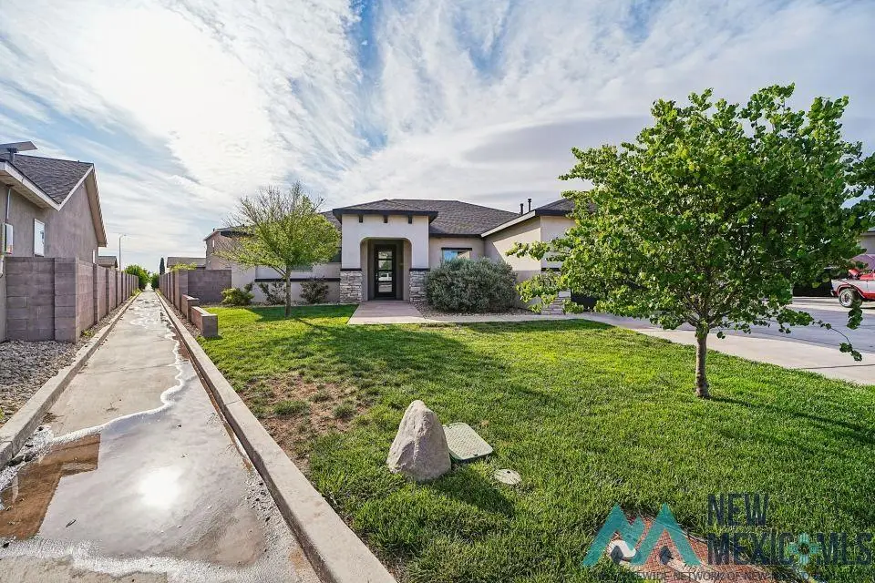 317 Wheat Court, Carlsbad, NM 88220 - #1
