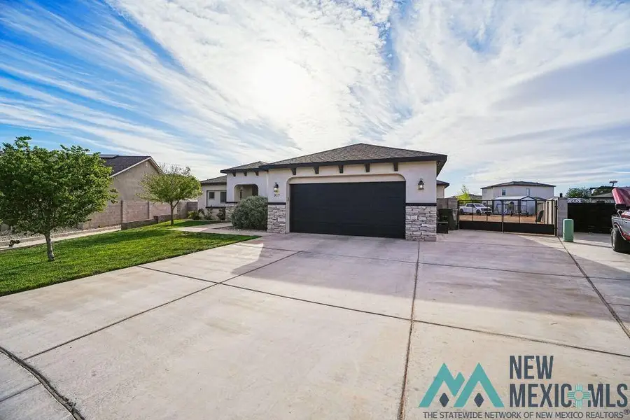 317 Wheat Court, Carlsbad, NM 88220 - #3