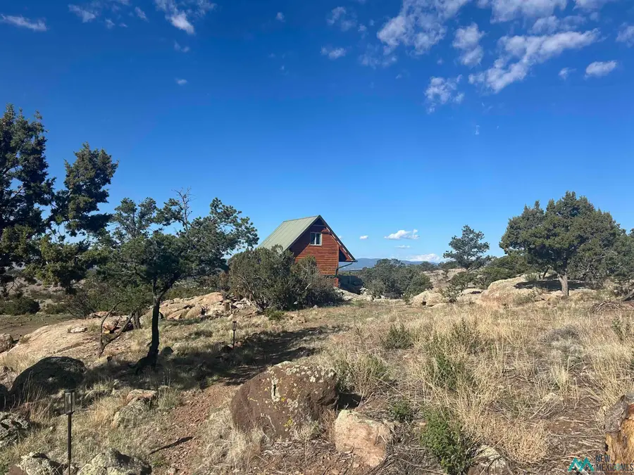 70 Bear Track Trail, Datil, NM 87821 - #2